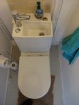 Salford Toilet Sink